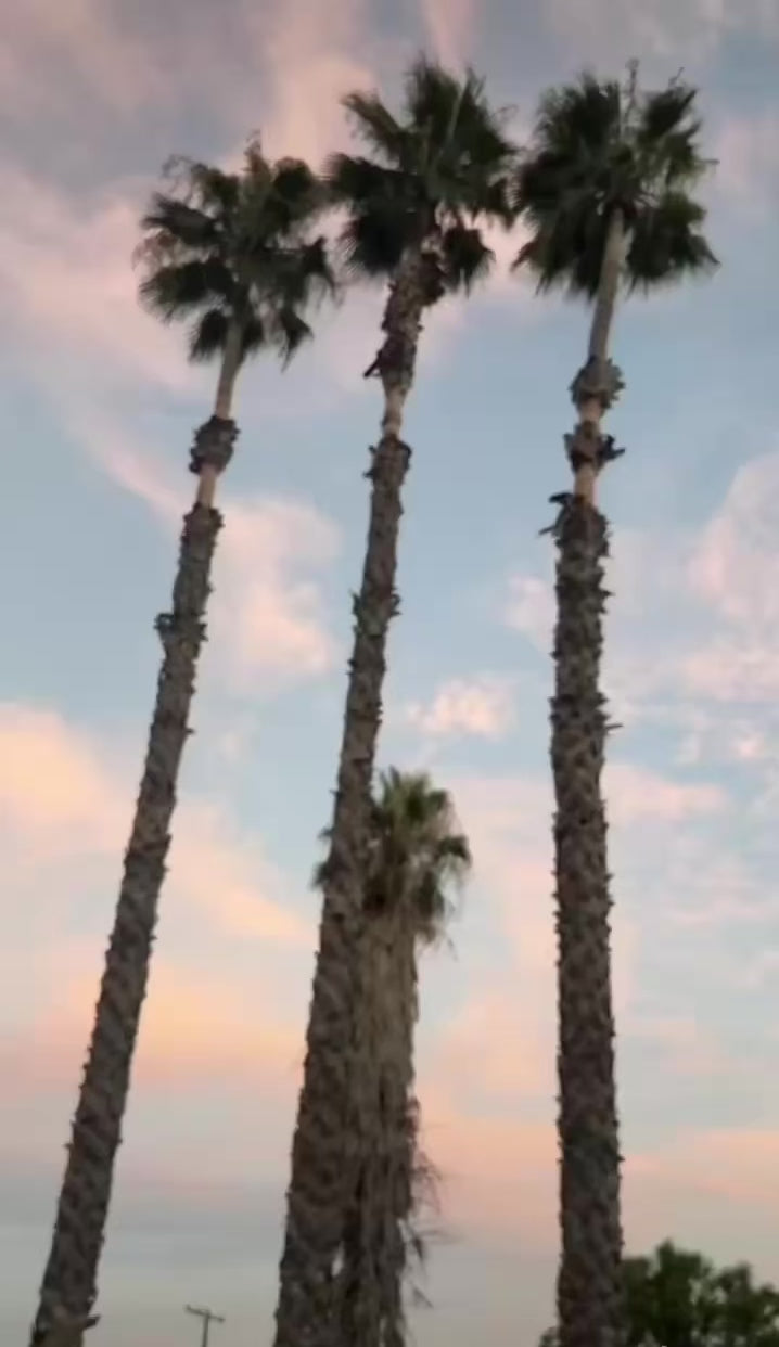 Untitled Jan24_09:43